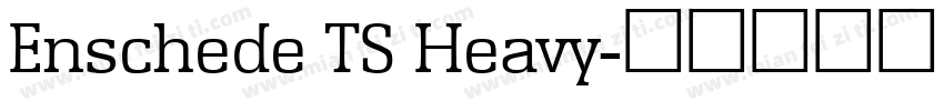 Enschede TS Heavy字体转换